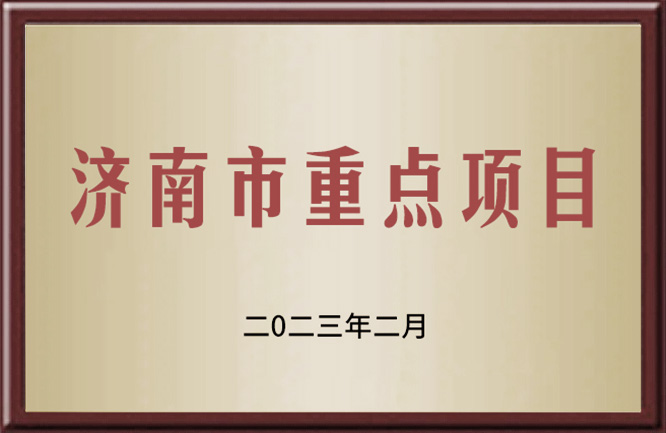 济南市重点项目